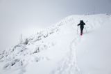 201402131040-AJ001607.jpg
